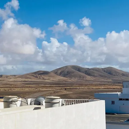 Gaviotas El El Cotillo (Fuerteventura)